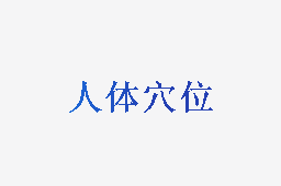 人体穴位